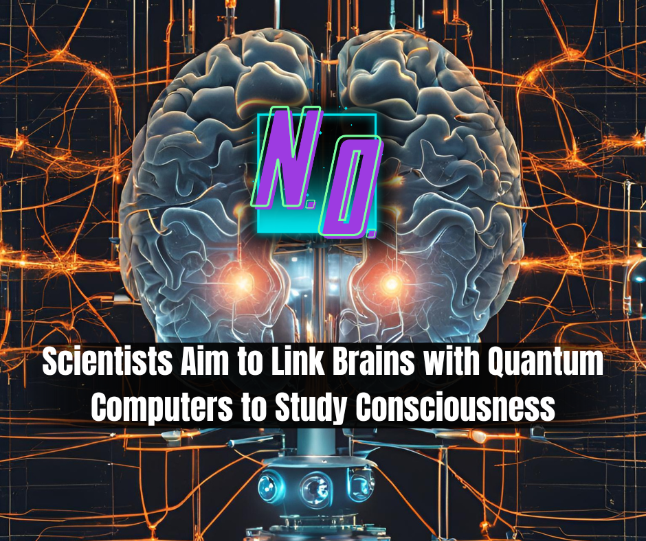In order to understand consciousness, scientists hope to entangle human brains with quantum&nbsp;computers.